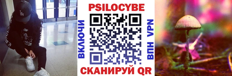 МЕГА ТОР  Долгопрудный  Псилоцибиновые грибы MAGIC MUSHROOMS 