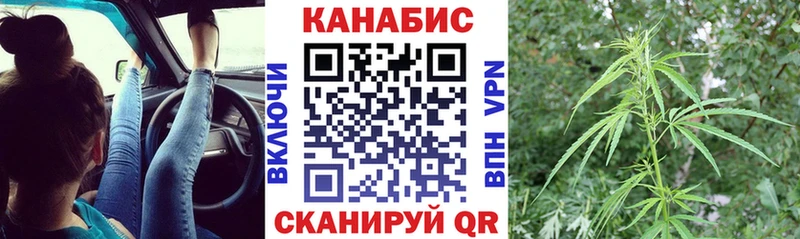 закладки  Долгопрудный  Каннабис план 